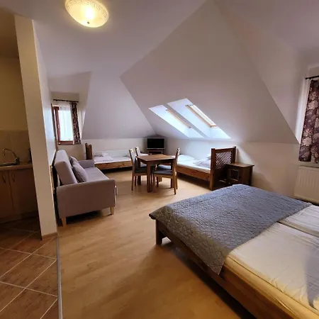 Goscinne Na Szlaku Guest house *